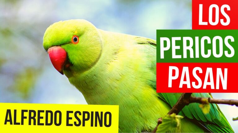 Lee más sobre el artículo LOS PERICOS PASAN ALFREDO ESPINO 🦜⛅ | Jícaras Tristes Pájaros de Leyenda 🌳 | Alfredo Espino Poemas