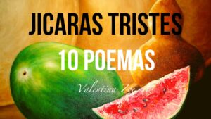 Lee más sobre el artículo ALFREDO ESPINO JICARAS TRISTES Top 10 Mejores Poemas | Valentina Zoe
