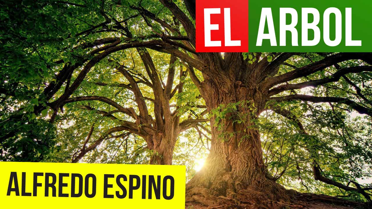 En este momento estás viendo EL ARBOL ALFREDO ESPINO 🌳🐦 | Jícaras Tristes Auras del Bohío 🌸 | Alfredo Espino Poemas
